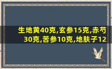 生地黄40克,玄参15克,赤芍30克,苦参10克,地肤子12克