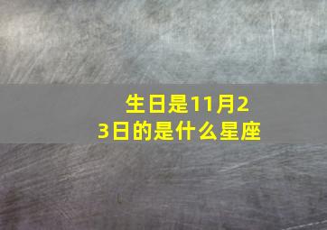 生日是11月23日的是什么星座