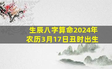 生辰八字算命2024年农历3月17日丑时出生