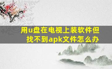 用u盘在电视上装软件但找不到apk文件怎么办