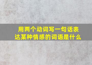 用两个动词写一句话表达某种情感的词语是什么