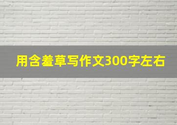 用含羞草写作文300字左右