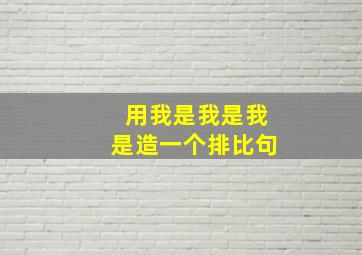 用我是我是我是造一个排比句