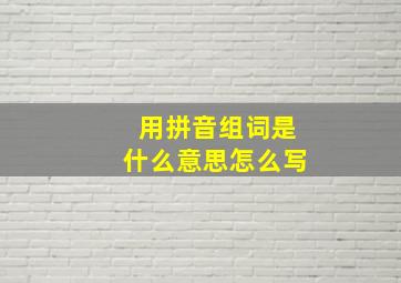 用拼音组词是什么意思怎么写