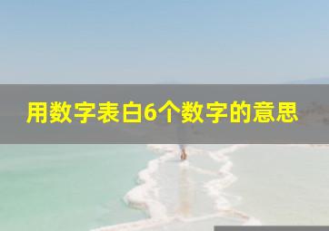 用数字表白6个数字的意思