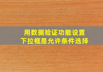 用数据验证功能设置下拉框是允许条件选择