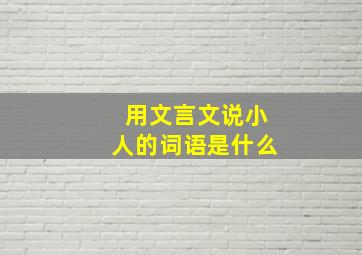 用文言文说小人的词语是什么