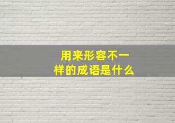 用来形容不一样的成语是什么