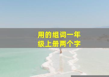 用的组词一年级上册两个字