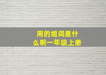 用的组词是什么啊一年级上册