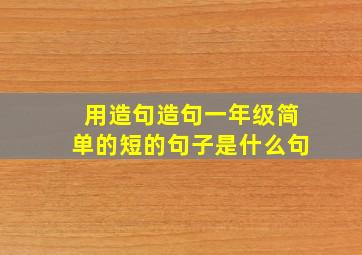 用造句造句一年级简单的短的句子是什么句