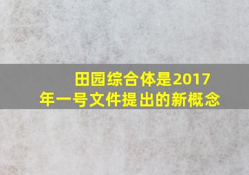 田园综合体是2017年一号文件提出的新概念