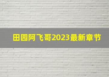 田园阿飞哥2023最新章节