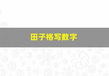 田子格写数字