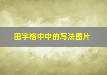 田字格中中的写法图片