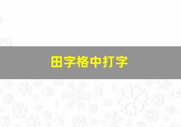 田字格中打字