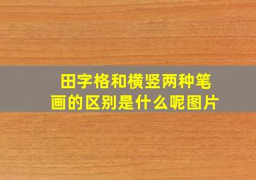 田字格和横竖两种笔画的区别是什么呢图片