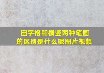 田字格和横竖两种笔画的区别是什么呢图片视频