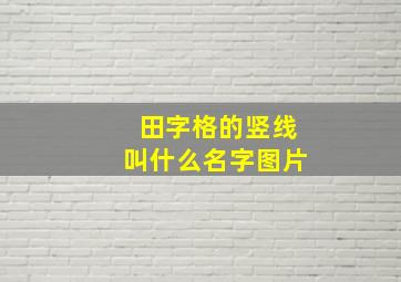 田字格的竖线叫什么名字图片