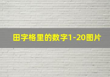 田字格里的数字1-20图片