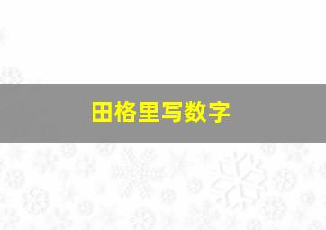 田格里写数字