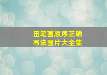 田笔画顺序正确写法图片大全集