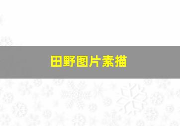 田野图片素描