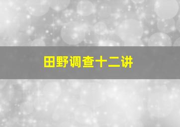 田野调查十二讲