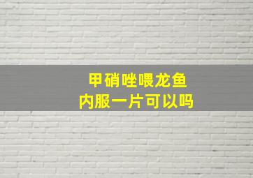 甲硝唑喂龙鱼内服一片可以吗