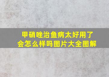 甲硝唑治鱼病太好用了会怎么样吗图片大全图解