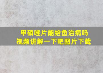 甲硝唑片能给鱼治病吗视频讲解一下吧图片下载