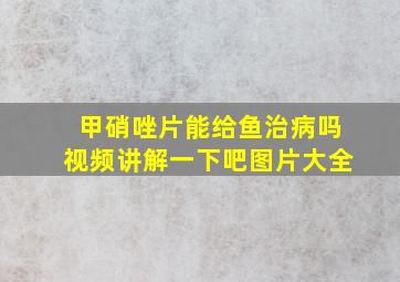 甲硝唑片能给鱼治病吗视频讲解一下吧图片大全