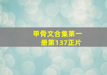 甲骨文合集第一册第137正片