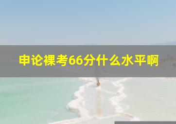 申论裸考66分什么水平啊