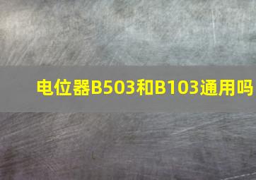 电位器B503和B103通用吗