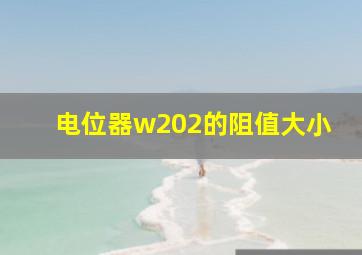 电位器w202的阻值大小