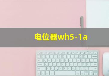 电位器wh5-1a