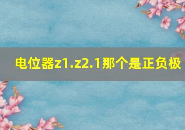 电位器z1.z2.1那个是正负极