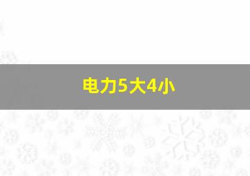 电力5大4小