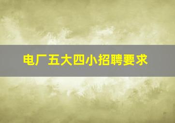 电厂五大四小招聘要求