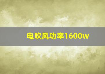 电吹风功率1600w