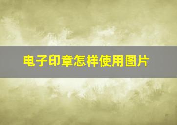 电子印章怎样使用图片