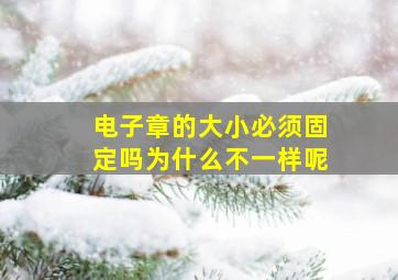 电子章的大小必须固定吗为什么不一样呢