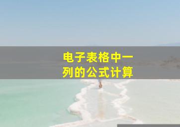 电子表格中一列的公式计算