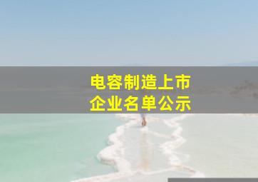 电容制造上市企业名单公示