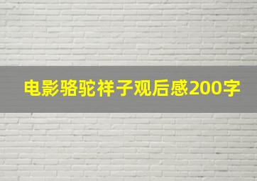 电影骆驼祥子观后感200字