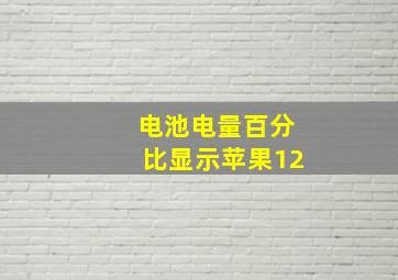 电池电量百分比显示苹果12