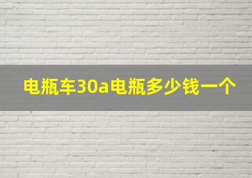 电瓶车30a电瓶多少钱一个