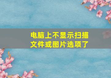 电脑上不显示扫描文件或图片选项了