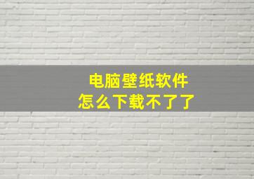 电脑壁纸软件怎么下载不了了